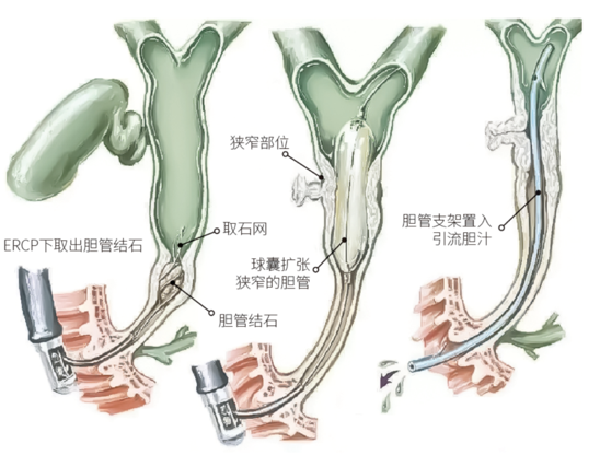 1726108876113540.png 企業(yè)微信截圖_17211124157318.png